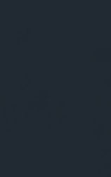 Layer 22.jpg
