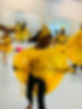 IMG_4952.jpeg
