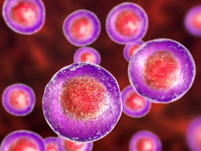 O que é Síndrome dos Ovários Policísticos