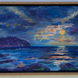 Wayne Christiansen