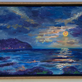 Wayne Christiansen