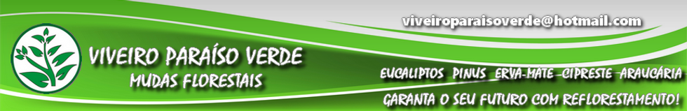 Banner_2026_1.png