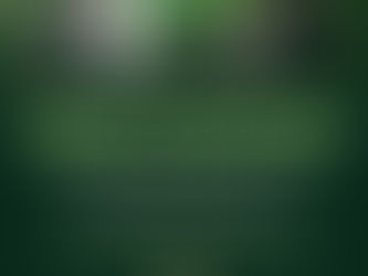 Yanan Ormanlarımızı Birlikte Yeşertelim