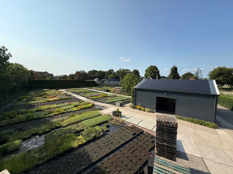 Overzicht van de kwekerij van Kwekerij van den Brink in Putten, met rijen gezonde tuinplanten van bovenaf gefotografeerd.