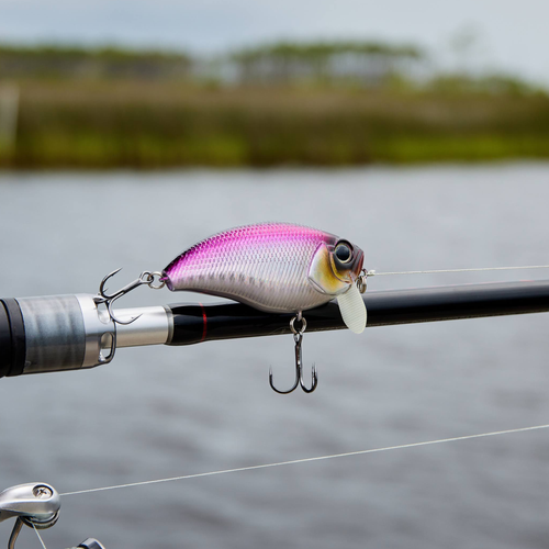 The GOAT Wake Bait | Shallow Water Redfish & Bass Killer