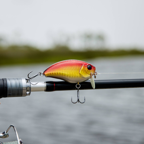 The GOAT Wake Bait | Shallow Water Redfish & Bass Killer
