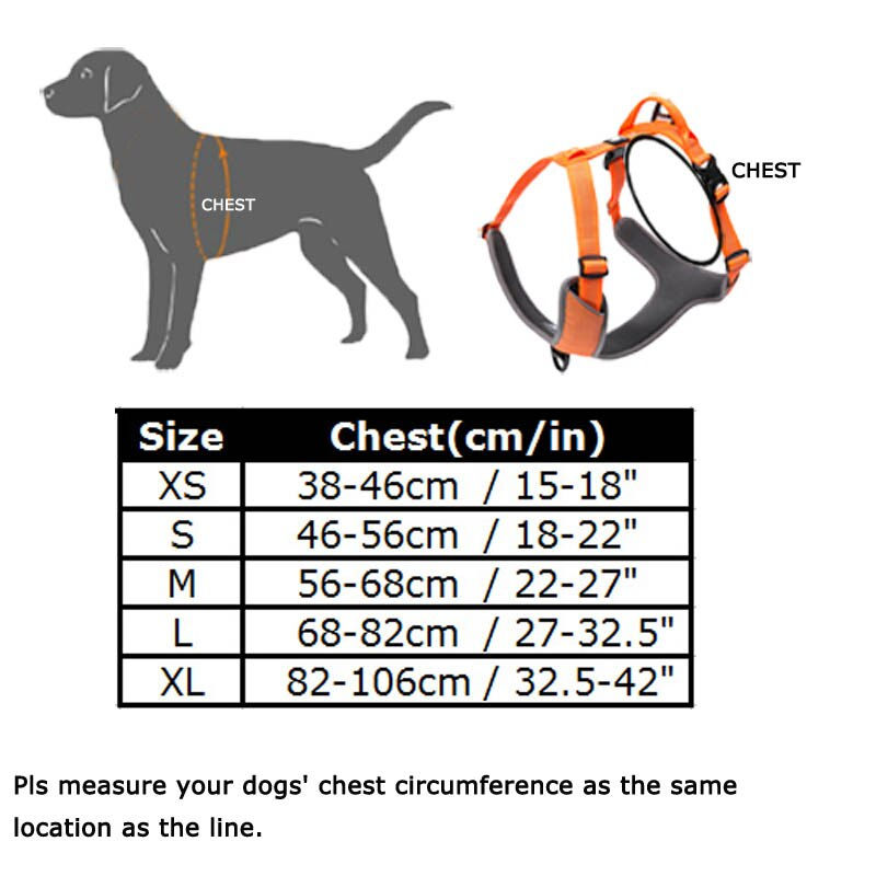 Miniatura: Love Padded Reflective  Pet Harness Sm /Lg Walk Adjustable w/ Handle for Seat B