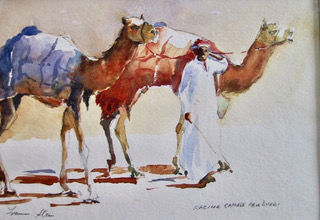 Frances Stevens Abu Dhabi Camels