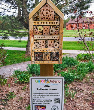 Millenium Garden bee condo