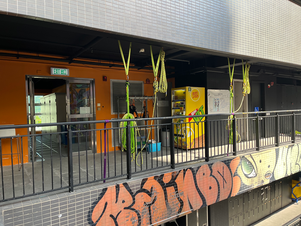 20251025_052352648_iOS