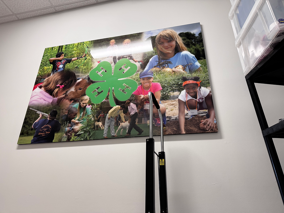 Georgia 4-H Internship Week 3