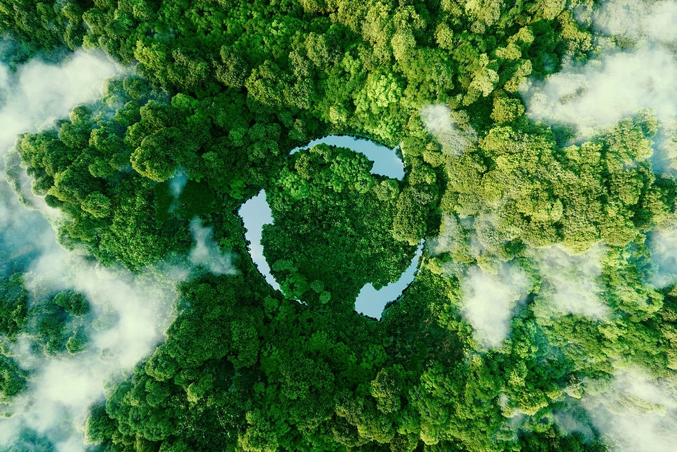 (D-MRV) System: A Step Towards Climate Change Mitigation in Jordan