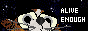 button-ani.gif