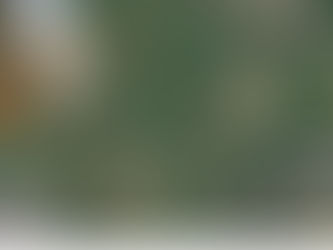 Major manufacturer commits to County Durham as solar farm plans approved