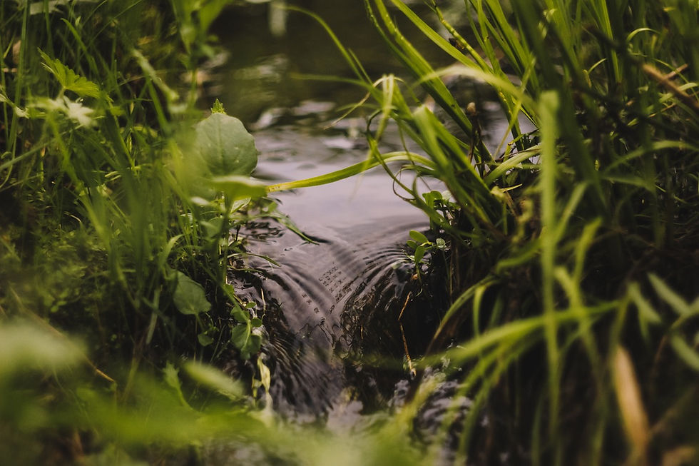 Bespoke private water supply systems.jpg