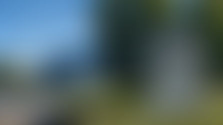 CPI Wrapped: A look at CPIs top 10 moments of 2025