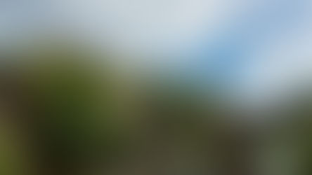 Views invited to help conserve World Heritage Site