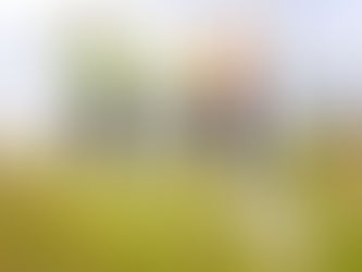 Affordable homes deal agreed as work on Spennymoor site begins