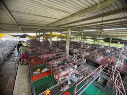 Imagen de WhatsApp 2025-08-07 a las 20.43.10_c68c180b