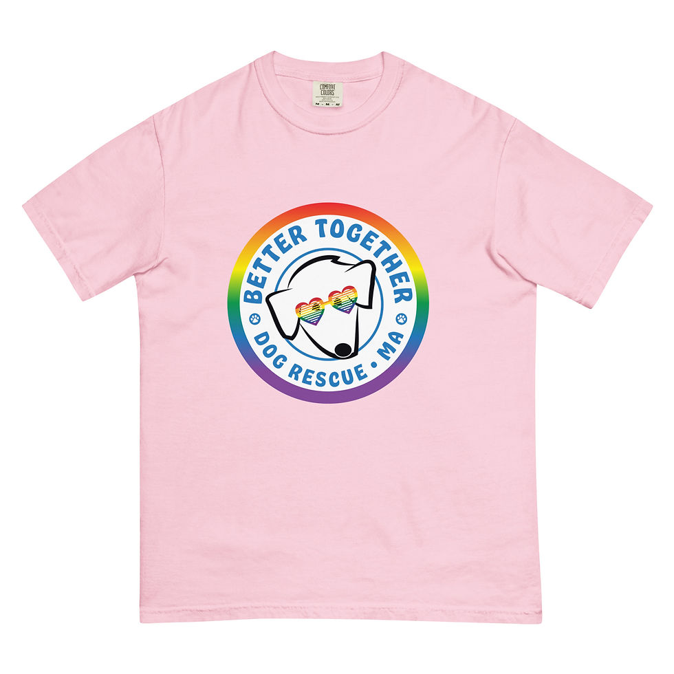 Thumbnail: BTDR OG Pride T-shirt