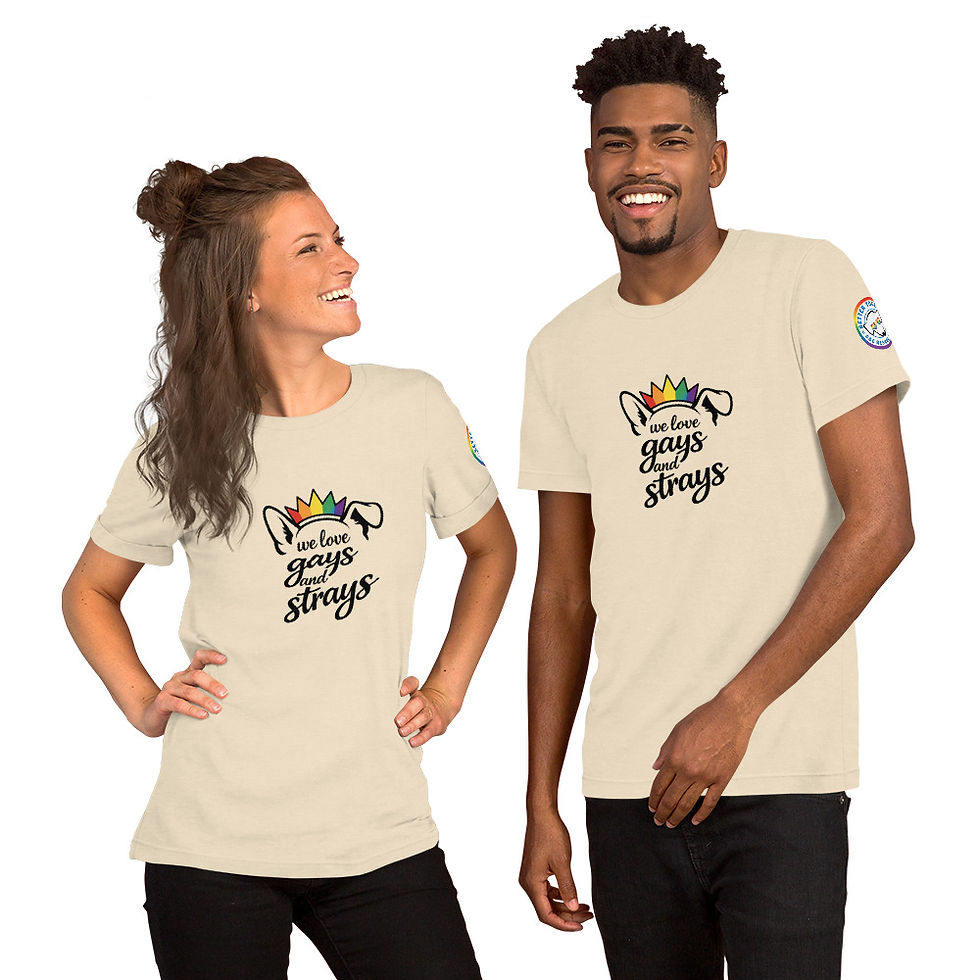 Thumbnail: BTDR PRIDE t-shirt