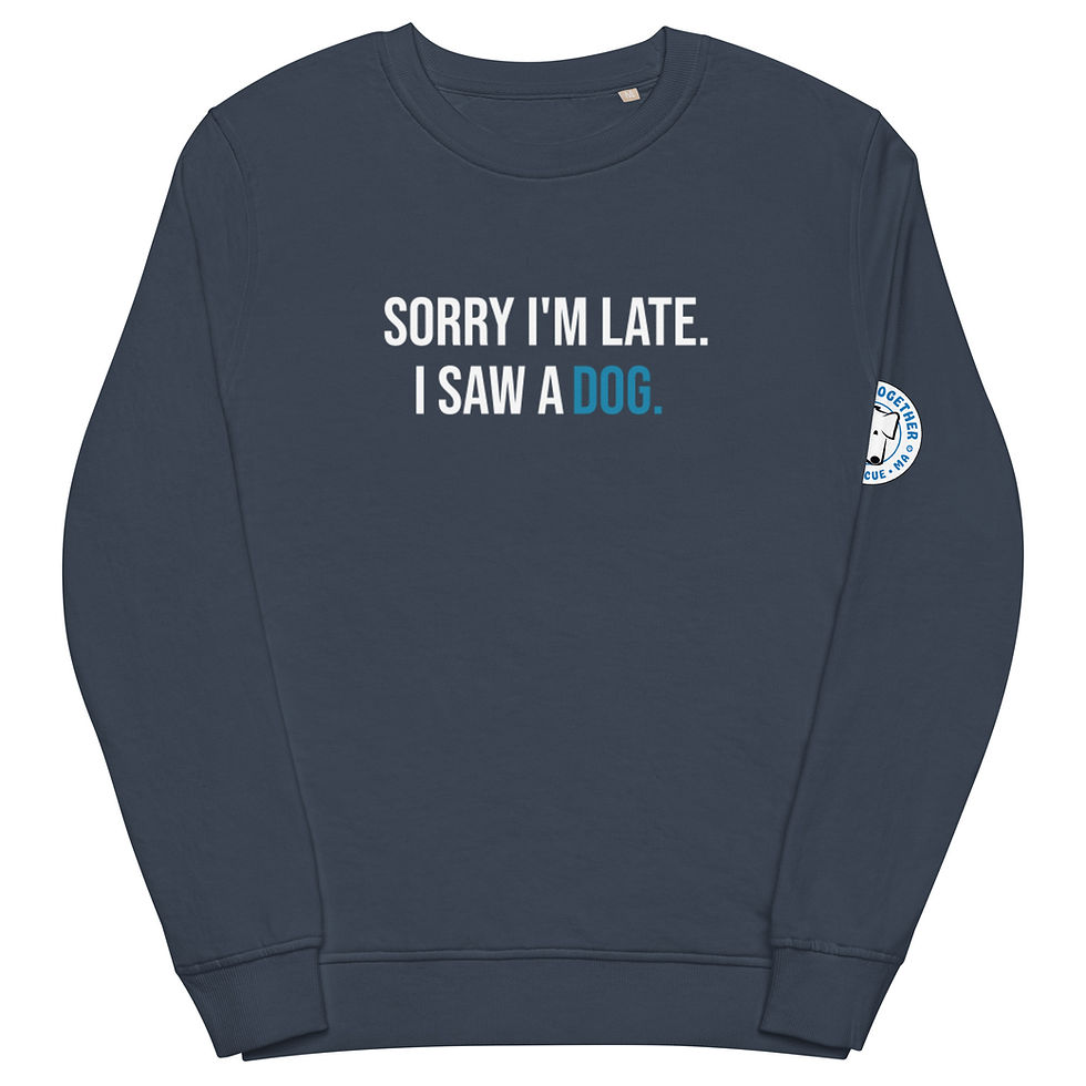 Thumbnail: Sorry Crew Neck  - Dark Colors