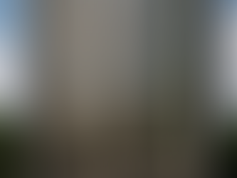 Kinetic Facades and Bird Safety