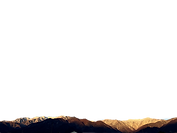 IMG_9159_edited.png