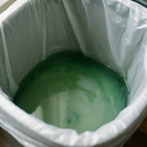 Standard Trash Can Cleaning