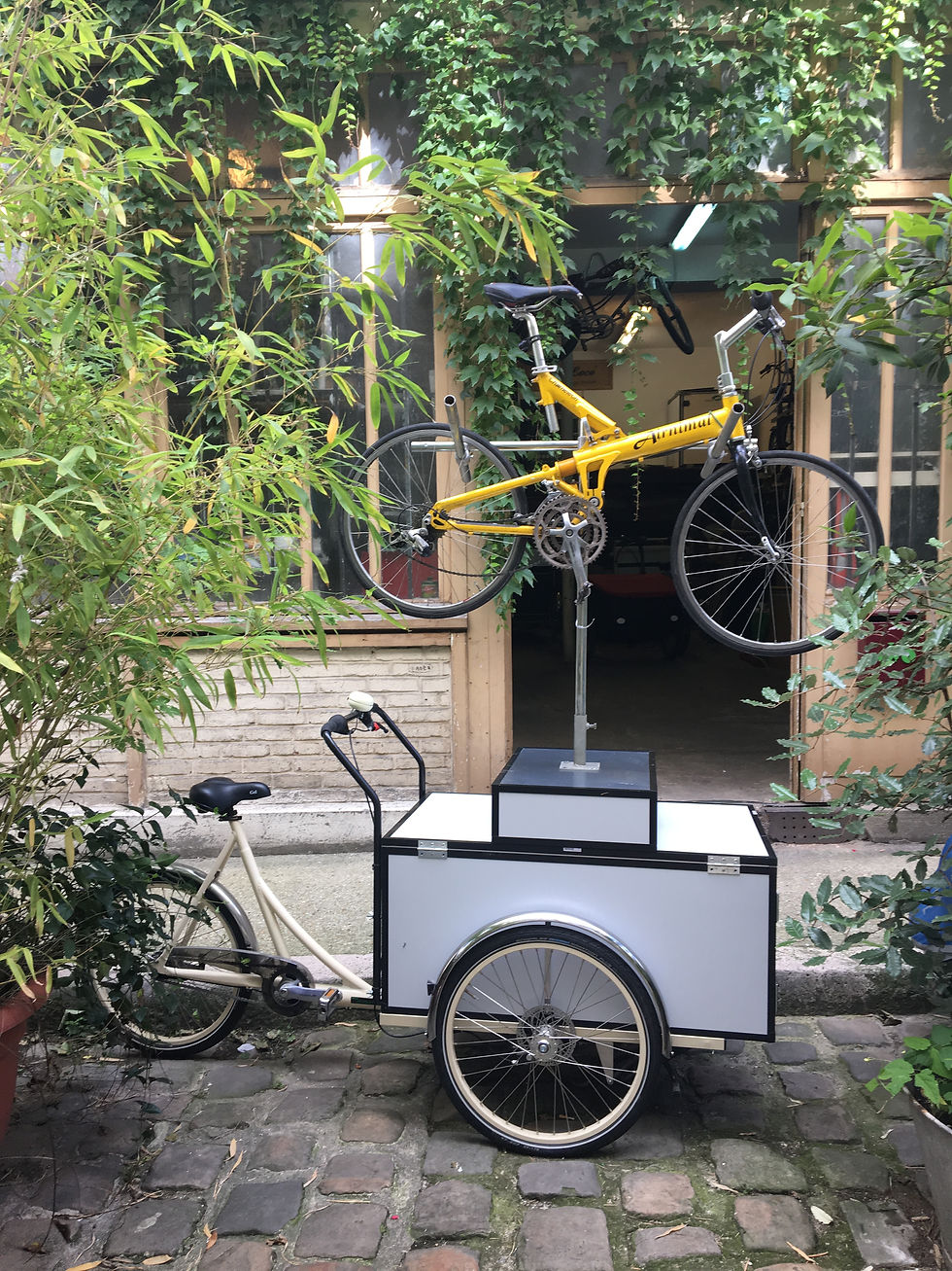 Présentoir à vélo roulant