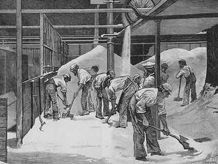 US-Mex Sugar Deal: A Challenge to Innovation