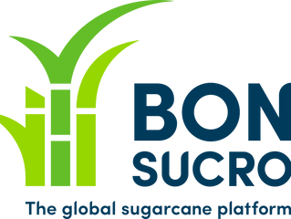 Bonsucro Publishes Outcome Report