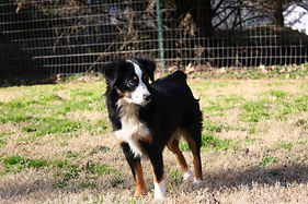 This is placeholder text. To change this content, double-click on the element and click Change Content. Want to view and manage all your collections? Click on the Content Manager button in the Add panel on the left. Here, you can make changes to your content, add new fields, create dynamic pages and more.

Your collection is already set up for you with fields and content. Add your own content or import it from a CSV file. Add fields for any type of content you want to display, such as rich text, images, and videos. Be sure to click Sync after making changes in a collection, so visitors can see your newest content on your live site. 