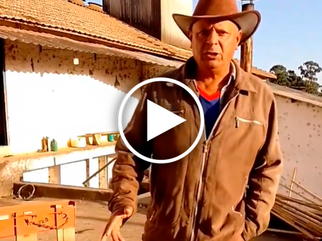 Natural Coffee: drying process