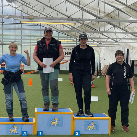 Resultater fra Uoffisiell Rally konkurranse