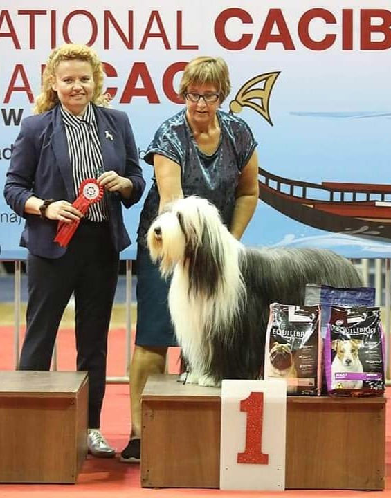 UTSTILLINGSKURS MED JANET LONGBERG