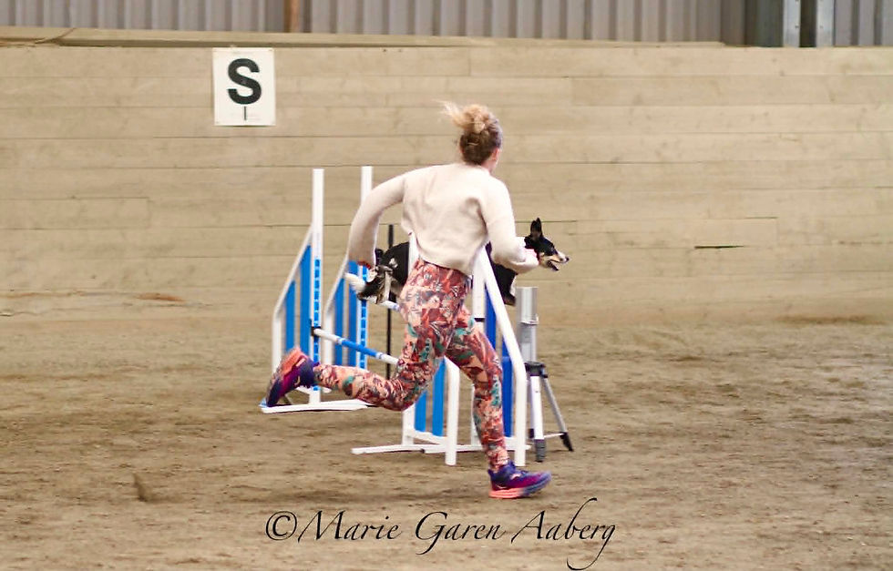 **FULLT **AGILITY MED MARINA AUGUST - SEPTEMBER 2026