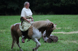 Vikings Festival Aarhus 2016