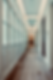 Kozel Fenestra - reference - 1 z 1.png