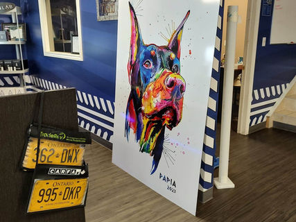 Pro Tint Graphics Signage Bussiness graphics Signs Logos Decals Sticks Labels Local Printing Large Formatt Printing Custom Designs Tint Frost Frosting Security Privacy Commercial window graphics dog paint