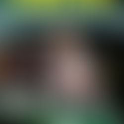 Wil Nellen: Mechanisch Ontwerper en Muzikant in hart en nieren