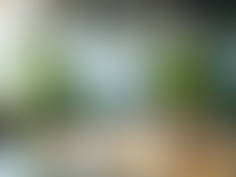 Indoor Plant Rentals: Elevate Your Corporate Workspace with Greenery