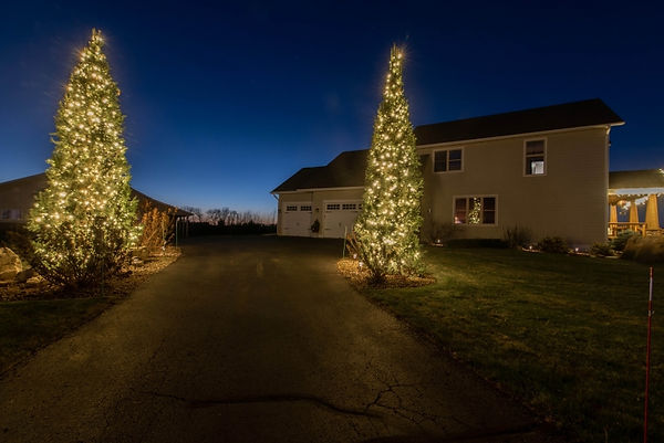 Christmas Tree Light Woburn Concord.jpeg