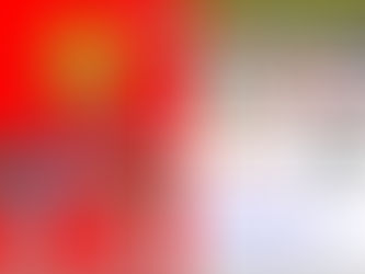 THE SOUND STAR　紹介