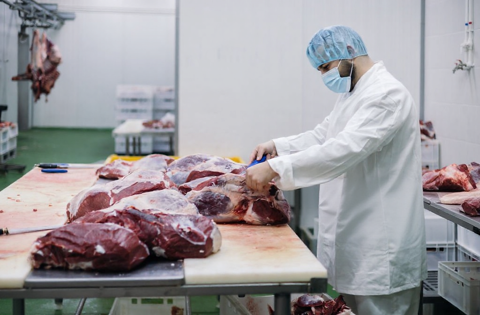 handshaking between a felon with work and the company recruiter