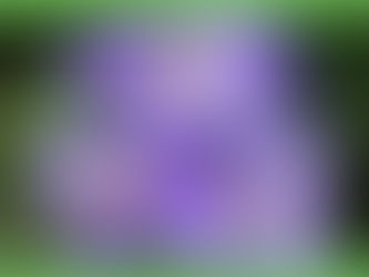 It happened suddenly