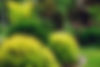 iStock-1127241203.jpg