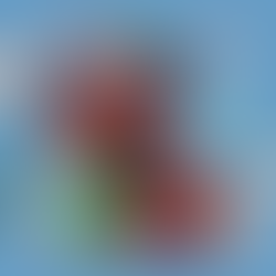 Keep pets’ teeth healthy with fibrous foods, brushing, and safe chew toys!