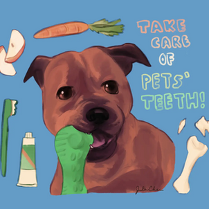 Keep pets’ teeth healthy with fibrous foods, brushing, and safe chew toys!