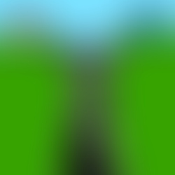 Where Health Is Crime: HIV in Modern Kenya